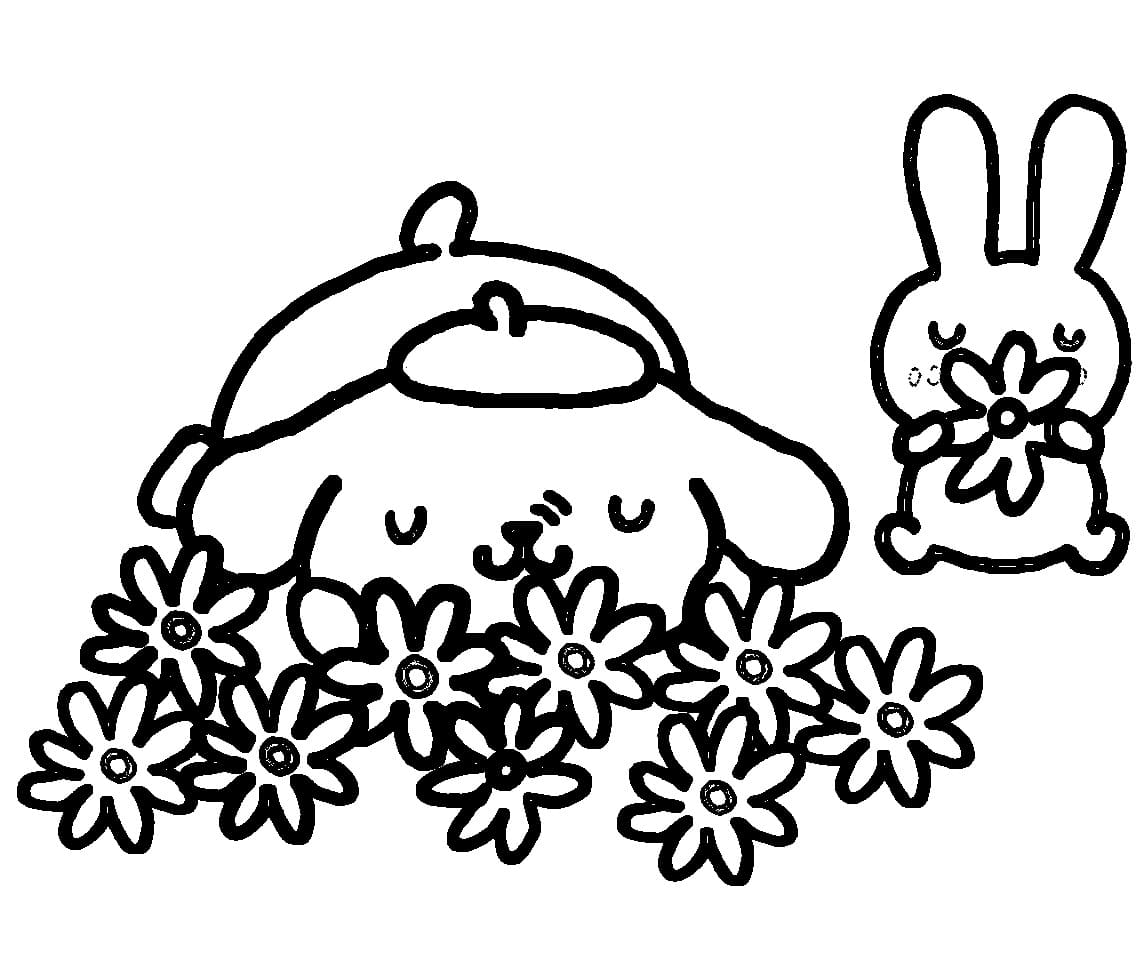 Lett Pompompurin fargelegging