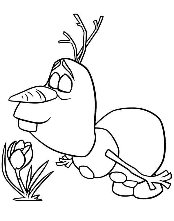 Olaf Gratis fargelegging