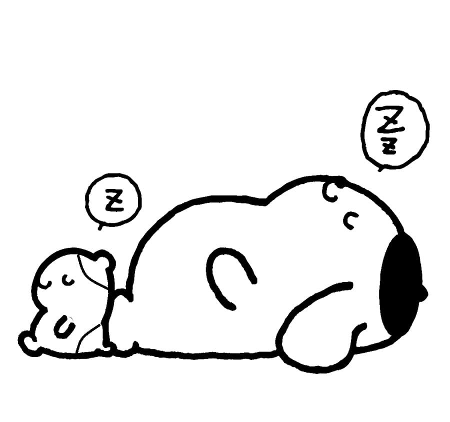 Sanrio Pompompurin fargelegging
