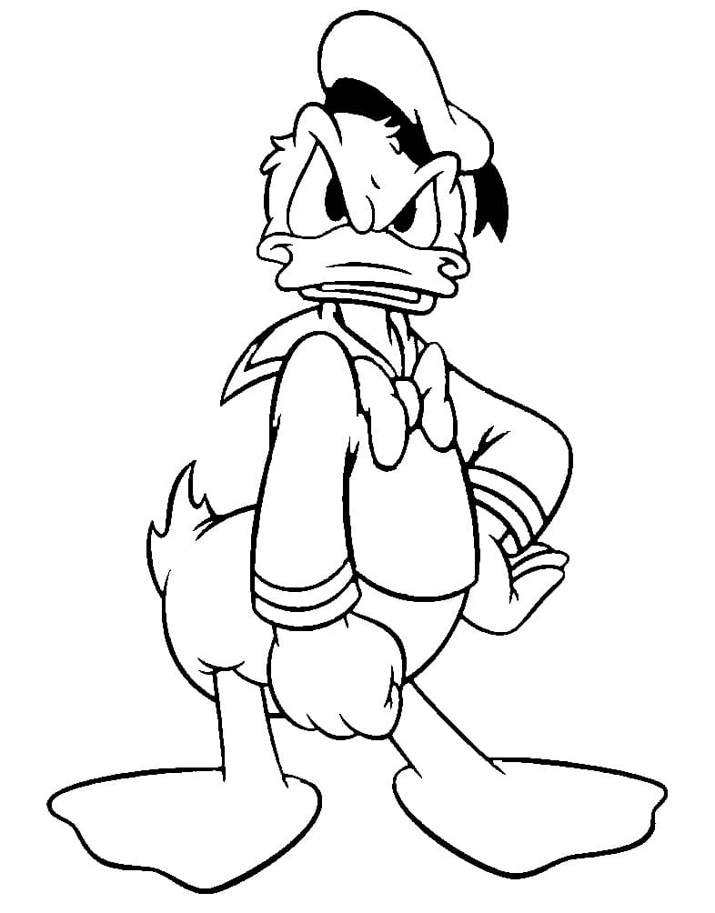 Sint Donald Duck fargelegging