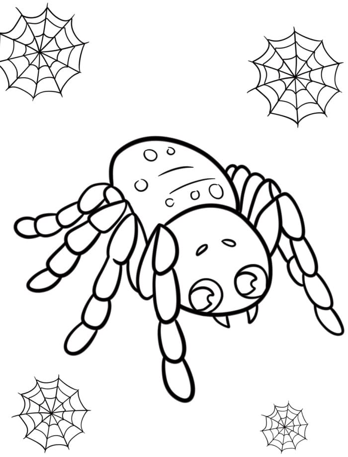 Edderkopp Halloween fargelegging