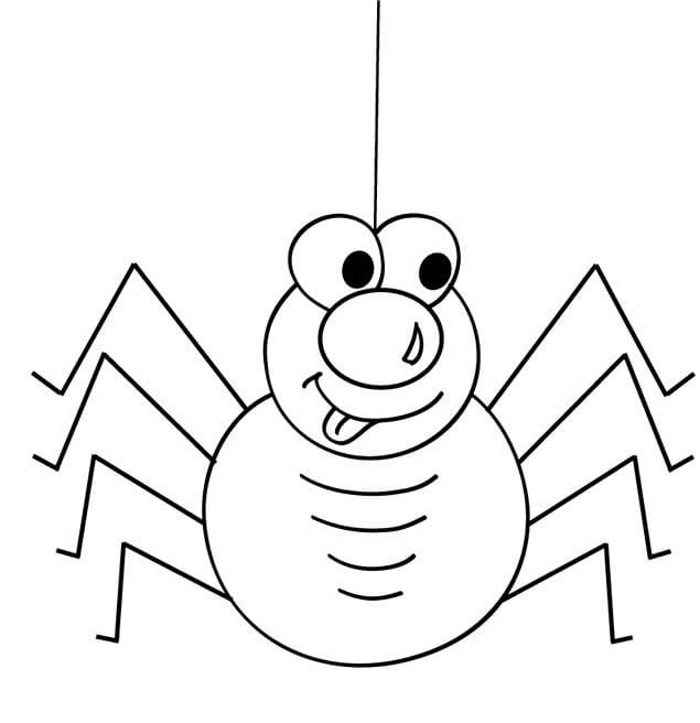 Edderkopp for 5-åringer fargelegging