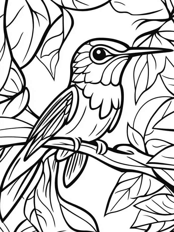 Gratis Kolibri Utskriftbar fargelegging