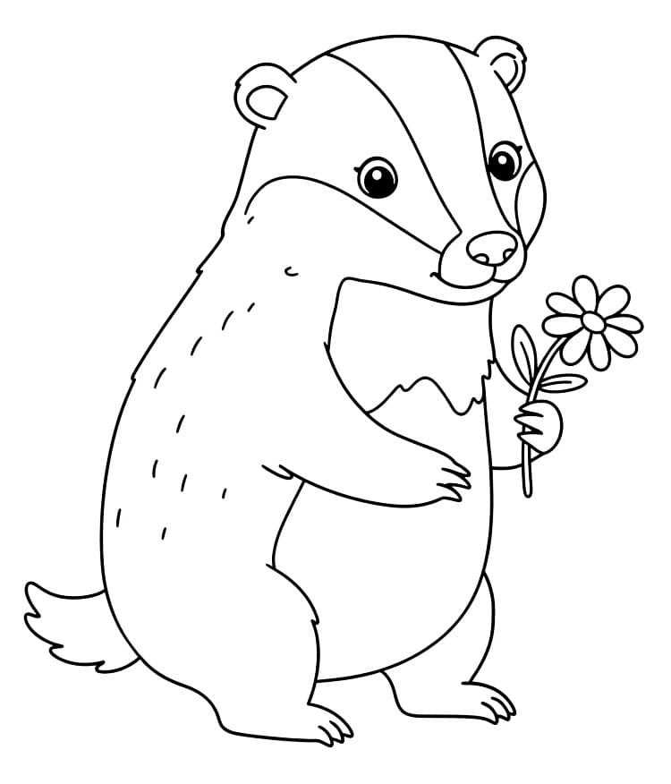 Grevling med Blomst fargelegging