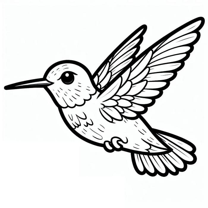 Kolibri Gratis fargelegging