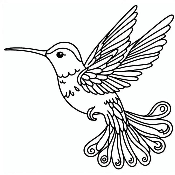 Kolibri Uten Kostnad fargelegging