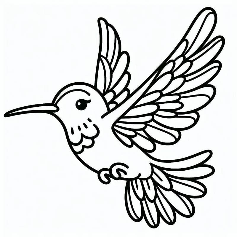 Kolibri Utskriftbar fargelegging