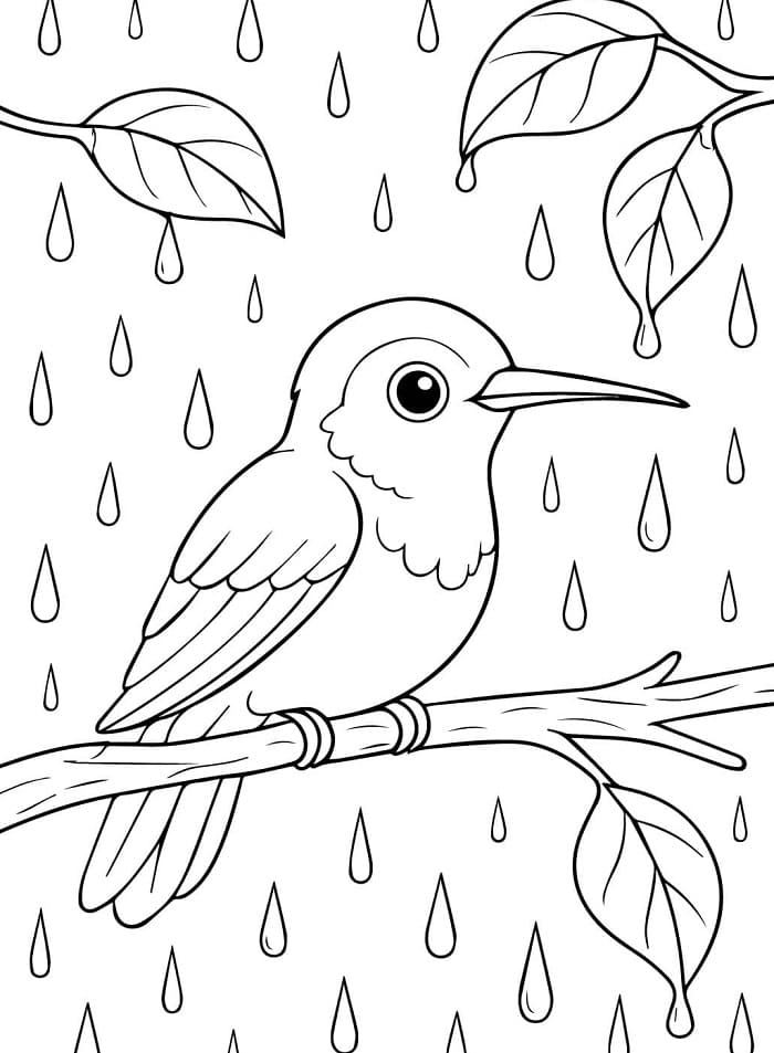 Kolibri for Barn fargelegging