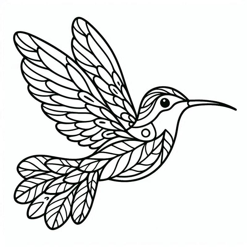 Liten Kolibri fargelegging