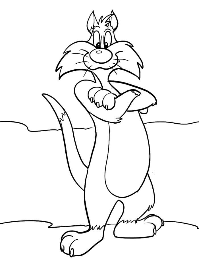 Looney Tunes (9) fargelegging