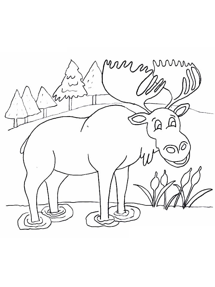 Skriv ut Elg fargelegging