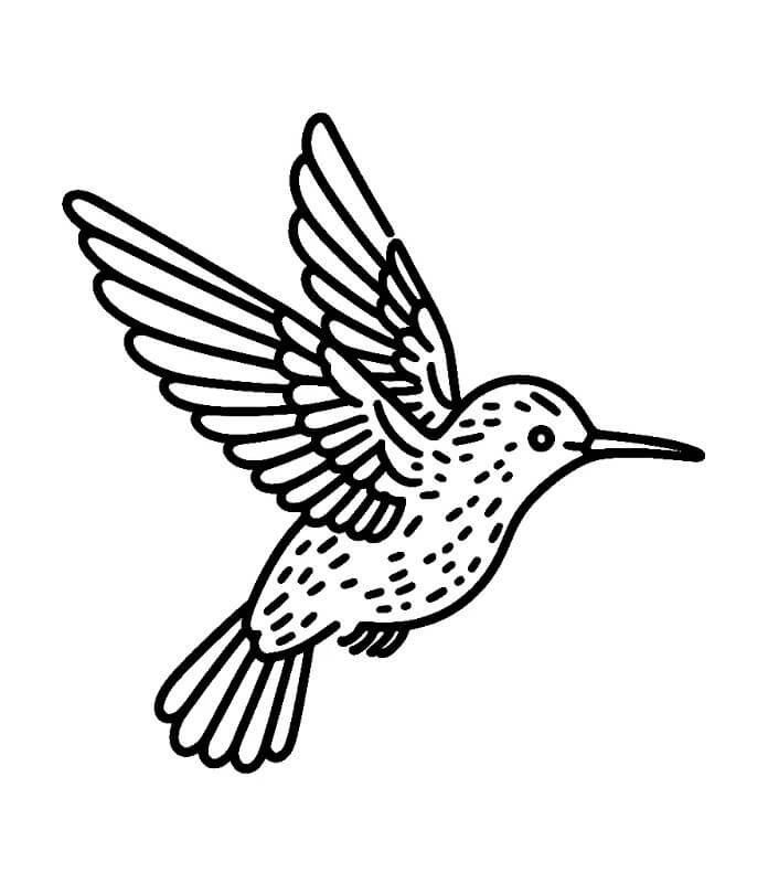 Utskriftbar Gratis Kolibri fargelegging