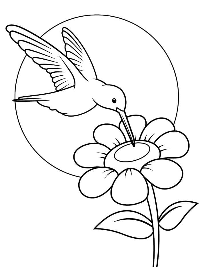 Utskriftbar Kolibri for Barn fargelegging