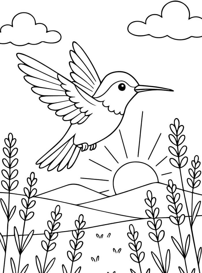 Utskriftbart Bilde Kolibri fargelegging