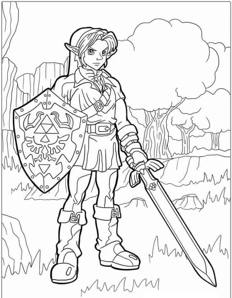 Zelda Spill fargelegging