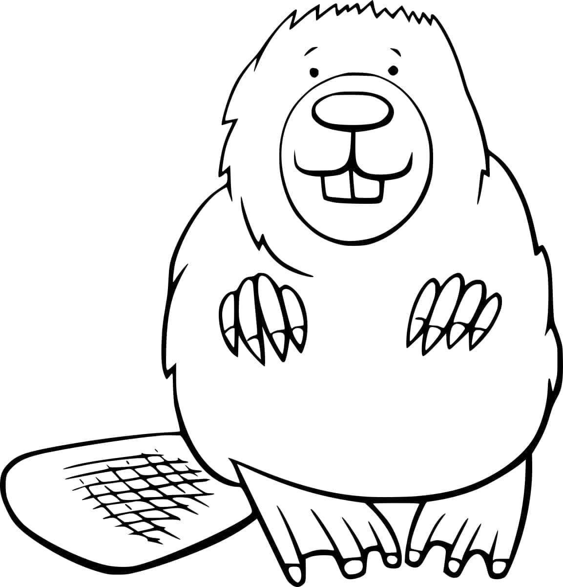 Bever Gratis til Barn fargelegging