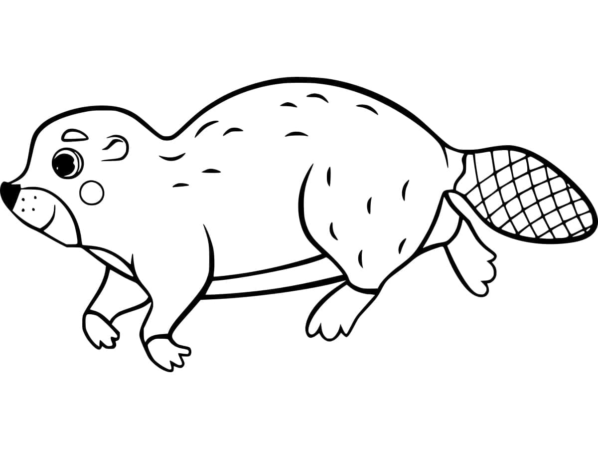 Bever Utskriftbar til Barn fargelegging