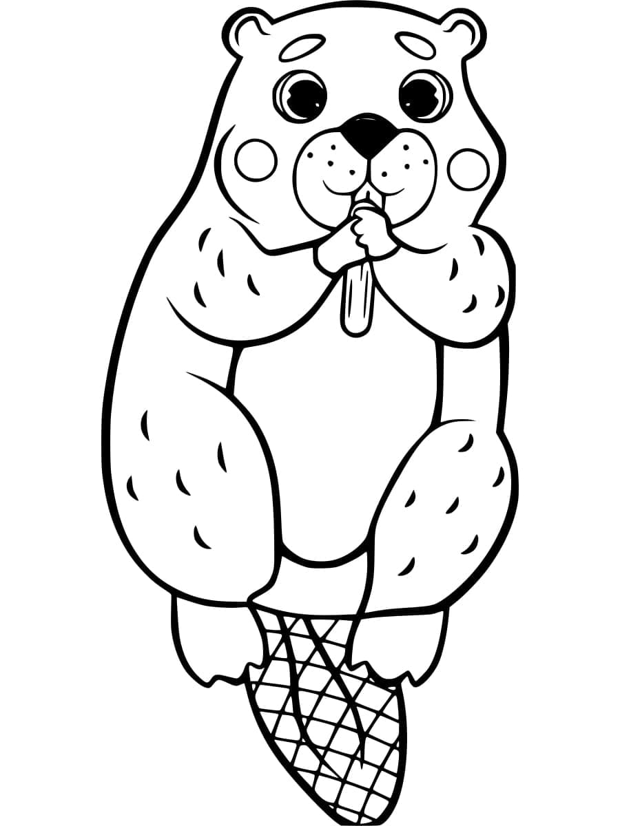 Bever for Barn fargelegging