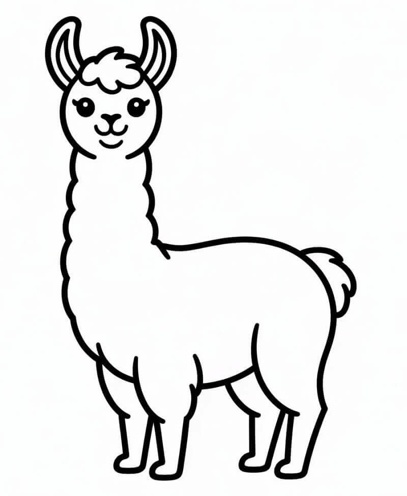 Elskelig Lama fargelegging