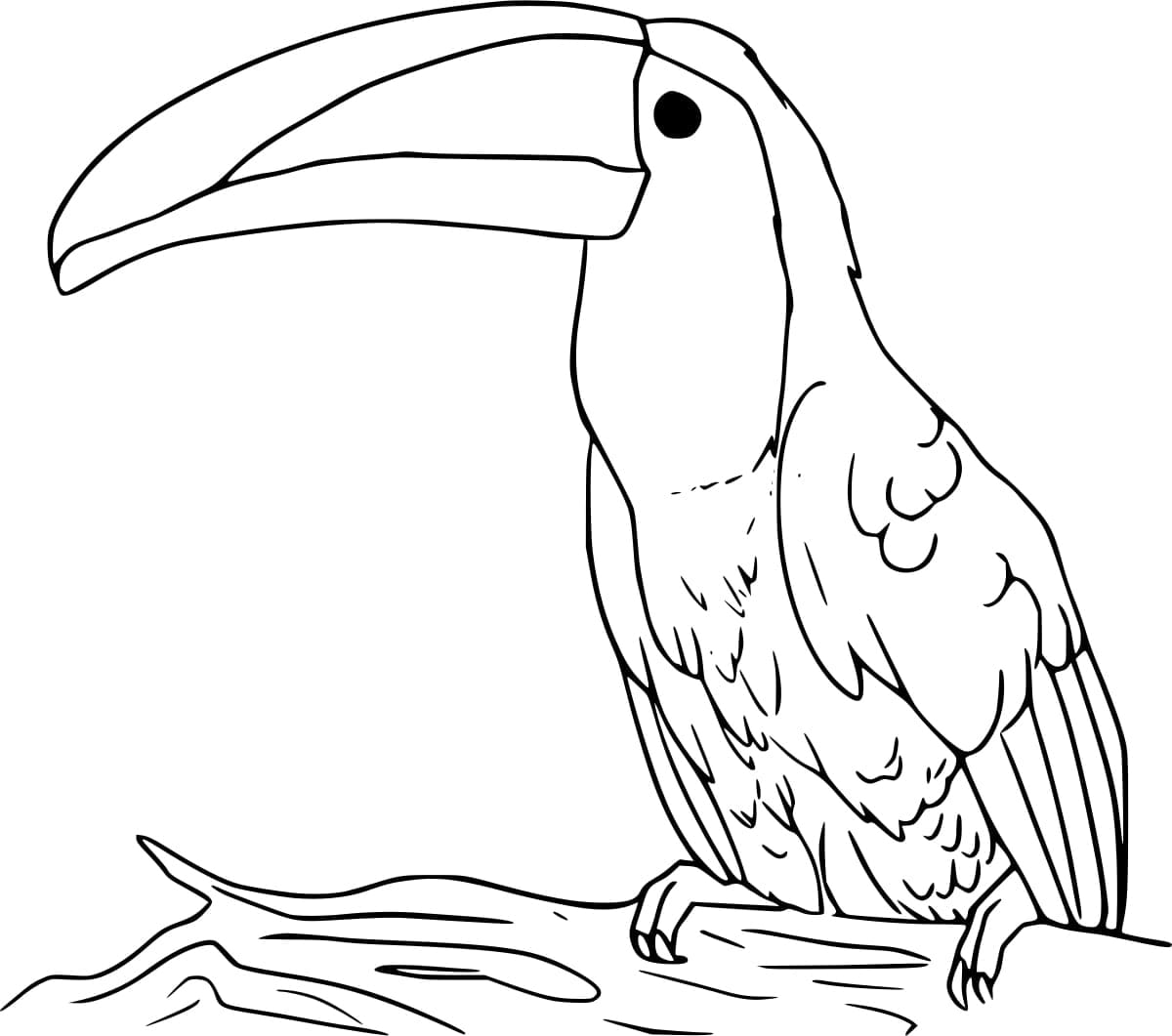 En Tukanfugl fargelegging