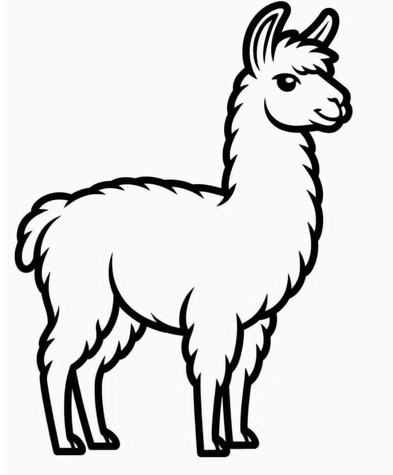 Enkel Lama fargelegging