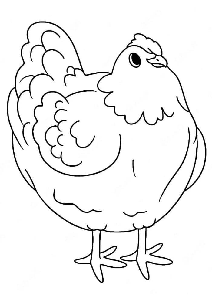 Fin Kylling fargelegging