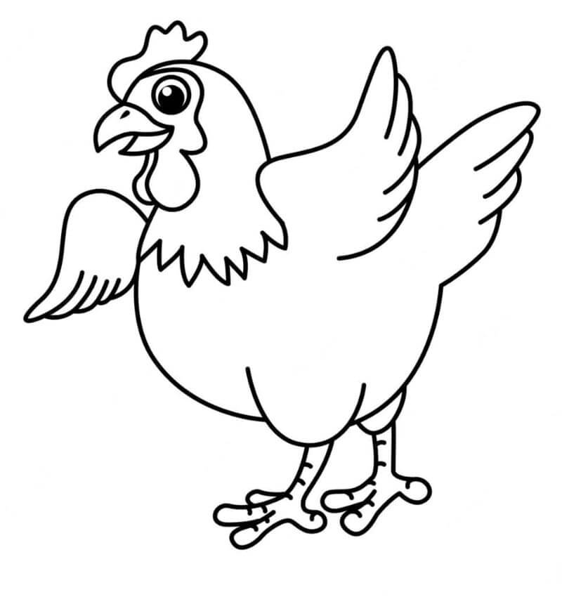 Gratis Utskriftbar Kylling fargelegging