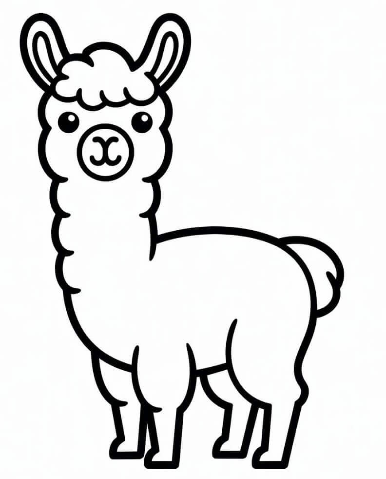 Grunnleggende Lama fargelegging