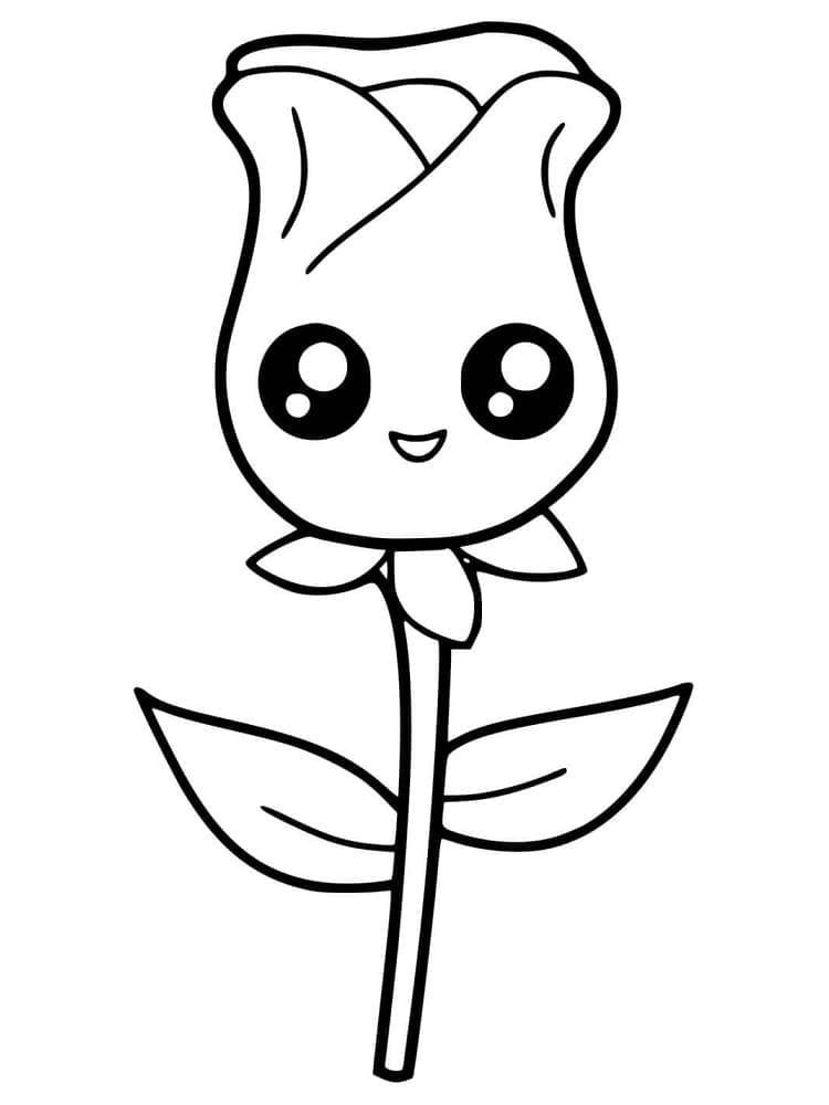 Kawaii Rose fargelegging