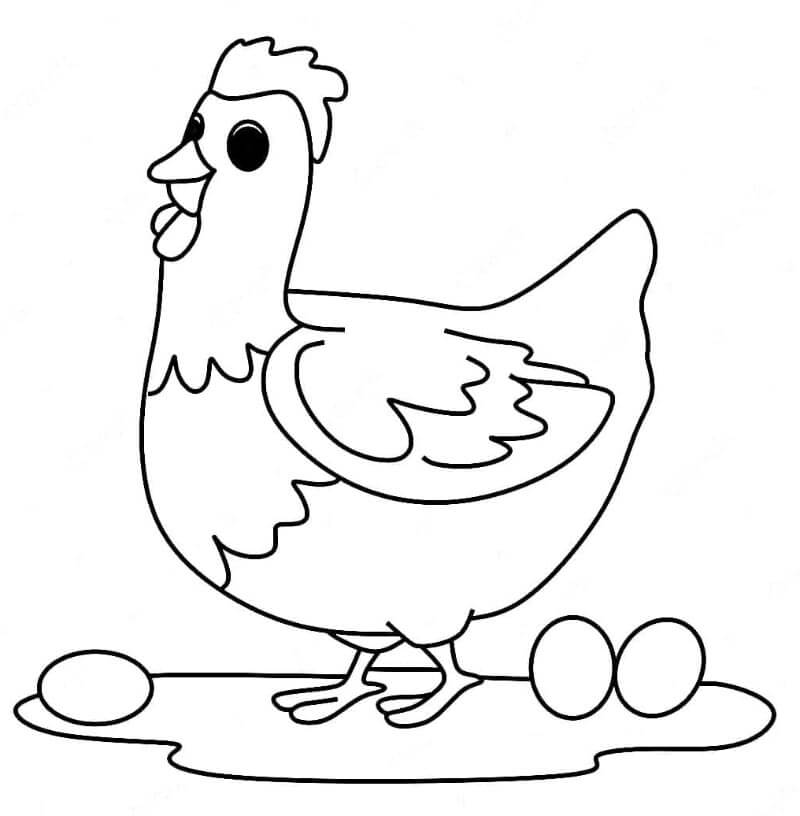 Kylling og Egg fargelegging