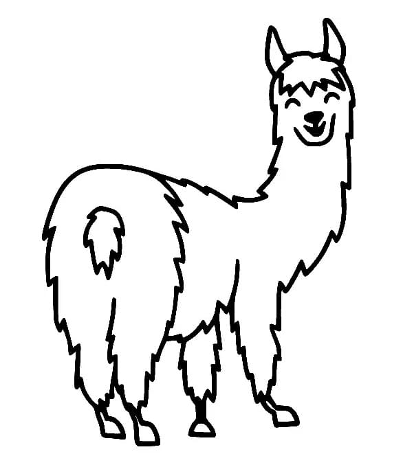 Lama for 5-åringer fargelegging