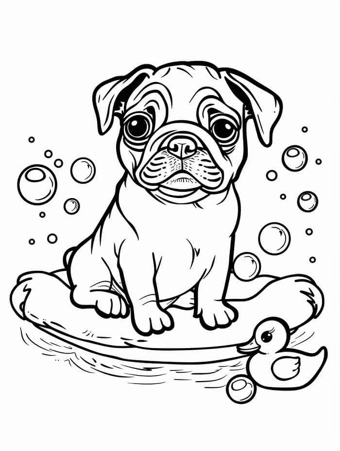 Mops Bilde fargelegging