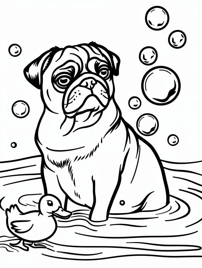 Mops Gratis Bilde fargelegging