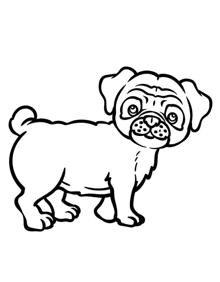 Mops å Skrive ut fargelegging