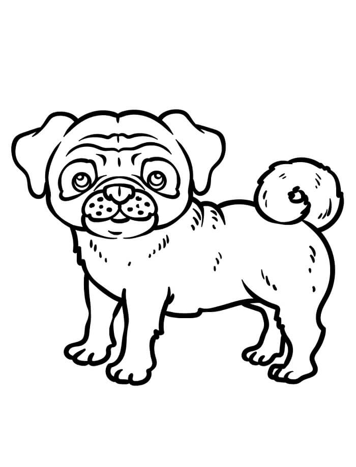 Mops for 3-åringer fargelegging