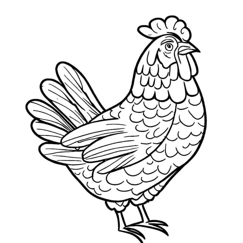 Realistisk Kylling fargelegging