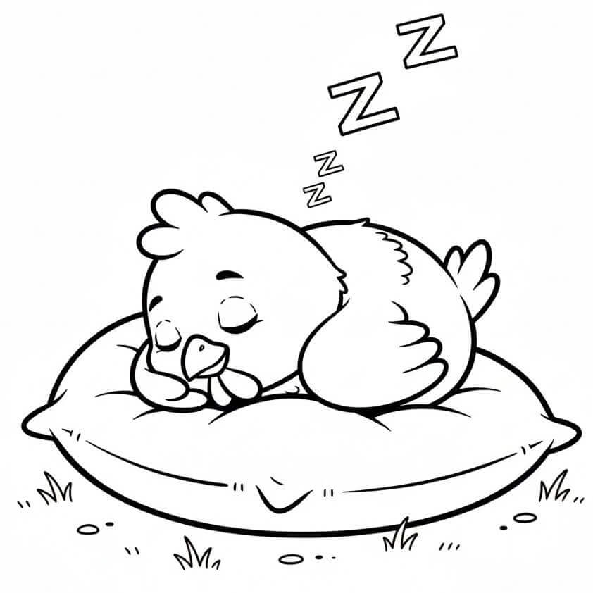 Sovende Kylling fargelegging