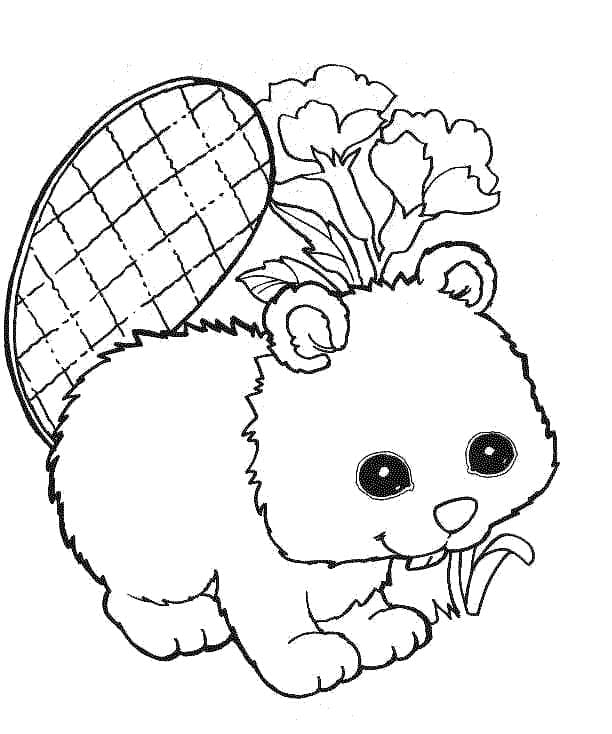 Utskriftbar Bever fargelegging