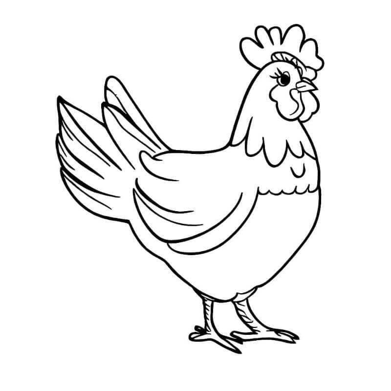 Utskriftbar Kylling fargelegging