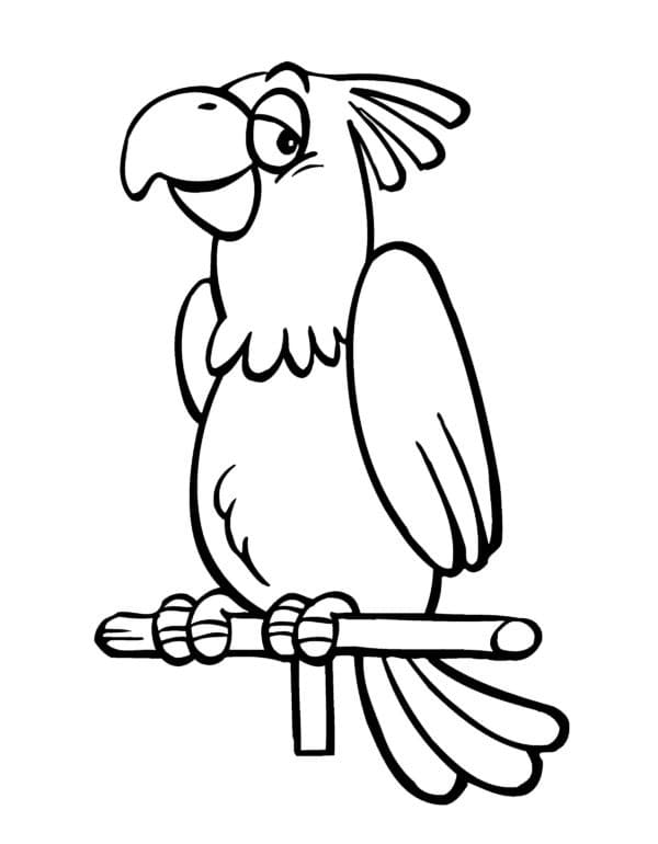 Animert papegøye fargelegging