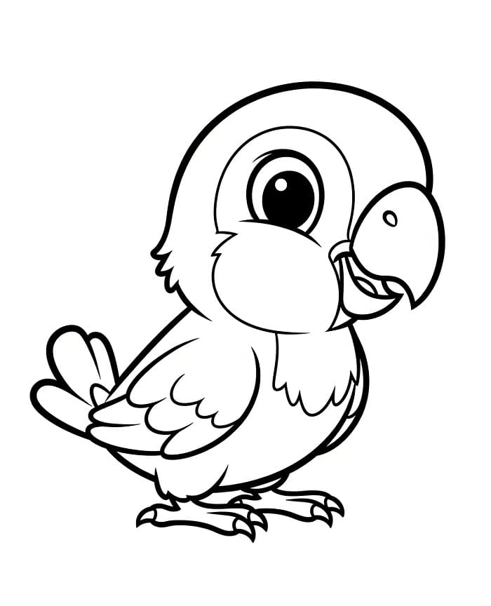Baby papegøye fargelegging