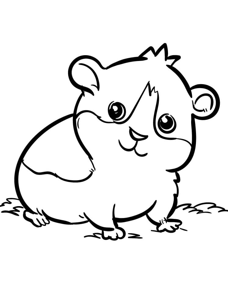 Bedårende Hamster fargelegging