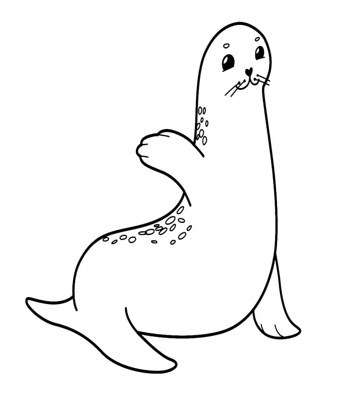 Elskelig Sjøløve fargelegging