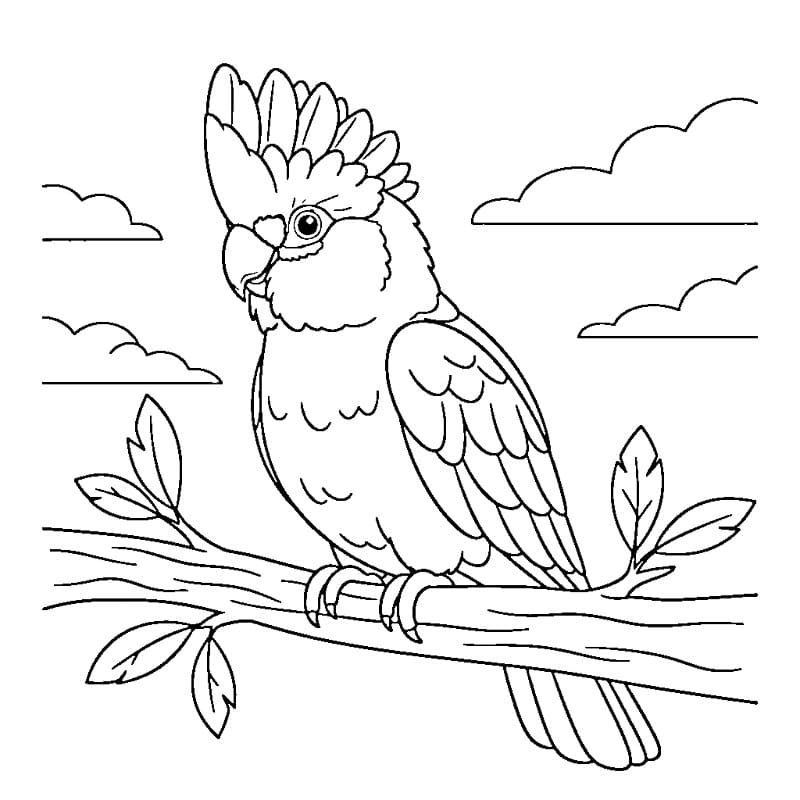 Fantastisk papegøye fargelegging