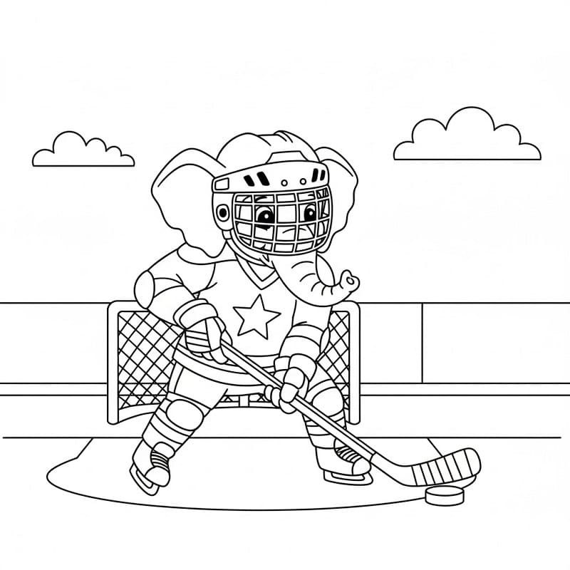 Fin Ishockey fargelegging