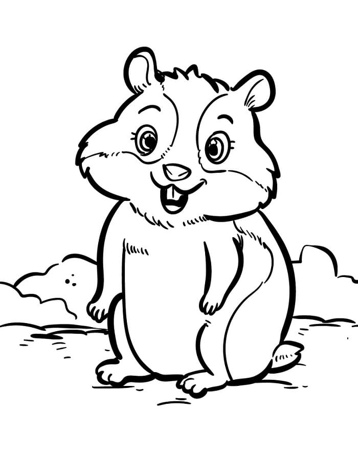 Glad Hamster fargelegging