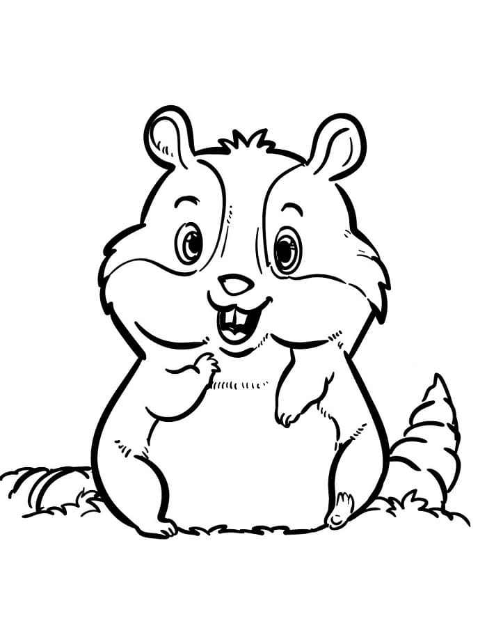 Gratis Hamster fargelegging