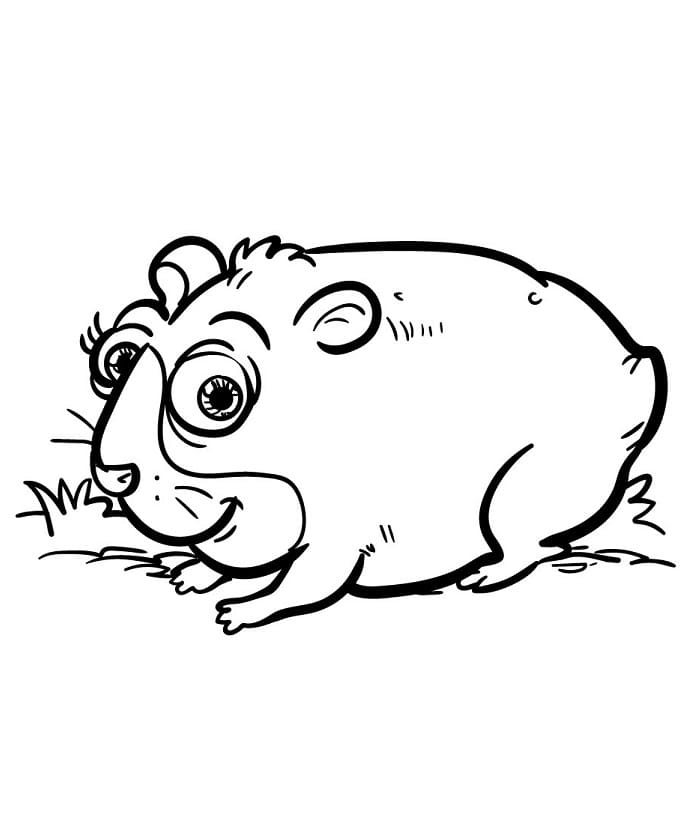 Gratis Utskriftbar Hamster fargelegging