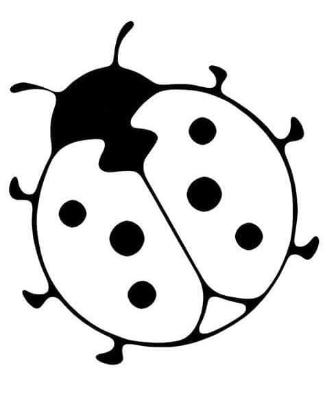 Grunnleggende marihøne fargelegging