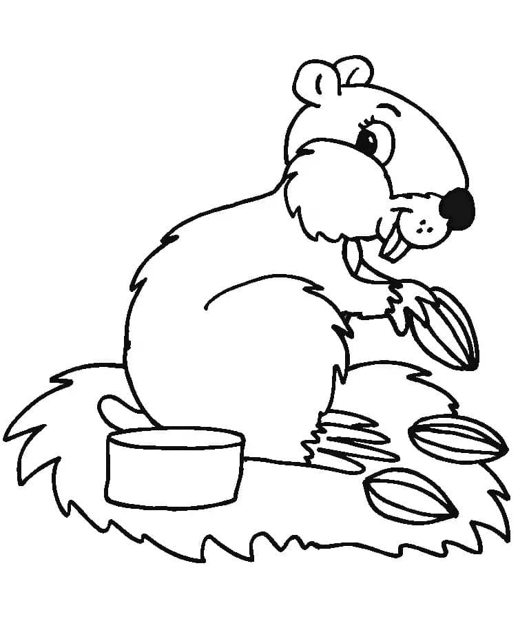 Hamster for 2-åringer fargelegging